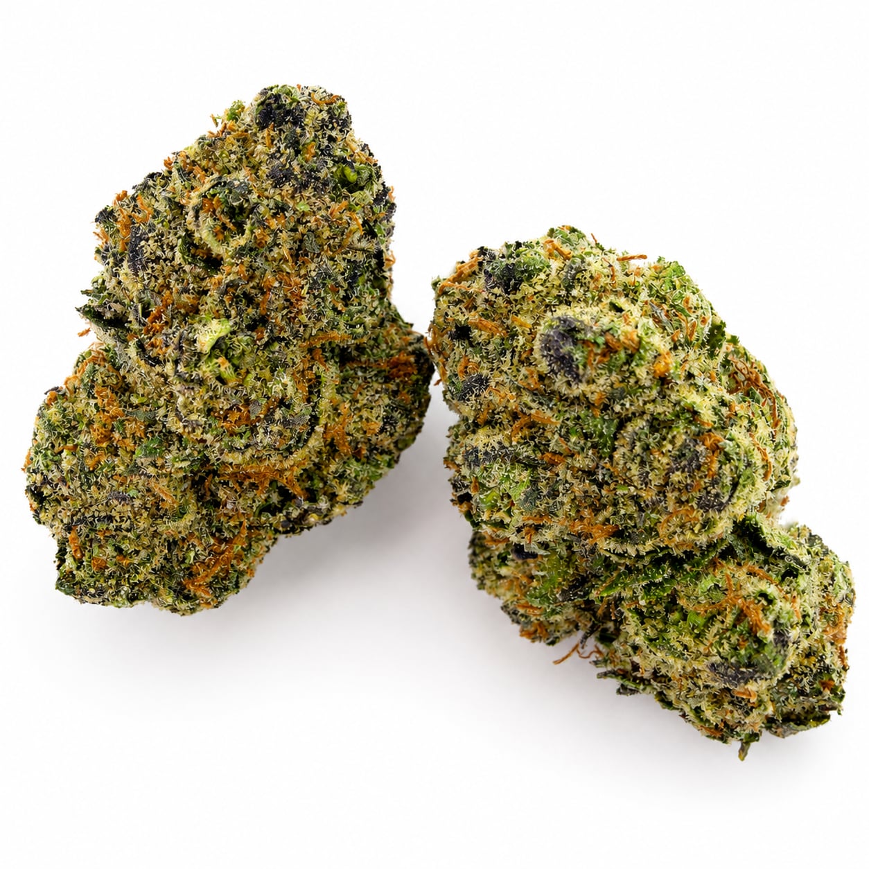 Purple Punch — view 2